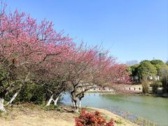 -白塘生态植物园