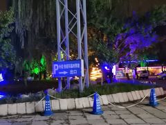 -枫花园汽车电影院(朝阳公园店)