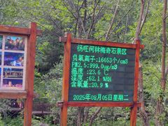 -汤旺河林海奇石景区