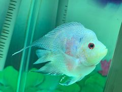 -秦皇岛新澳海底世界