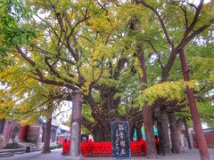 -浮来山风景区