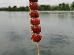 -什刹海