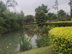 -成飞公园