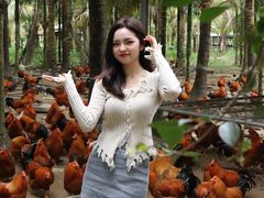 -兴隆槟榔园休闲农庄