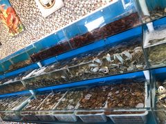 水产区-港畔赶海蒸汽海鲜烧烤自助(仙螺岛店)