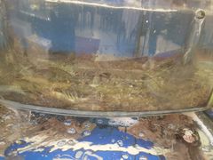 -渔中舟海鲜大排档(普陀沈家门店)