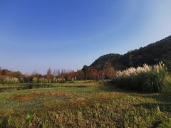 -贵阳市花溪国家城市湿地公园