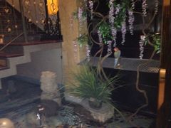 iphone_upload_pic-姗娜娜足道·SPA(古北店)