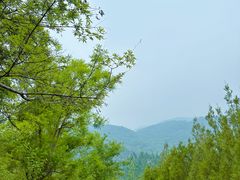 -天津盘山风景名胜区