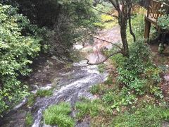 -永泰中国云顶