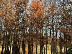 -厦门园林博览苑