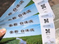-白洋淀景区