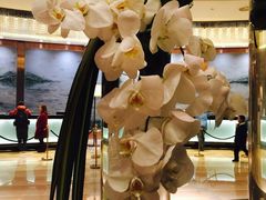 -无锡新湖铂尔曼大酒店