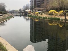 -丁家河公园