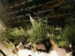 -美丽心情蛋糕(江苏路店)