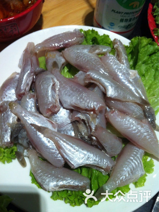 会员相册 咥遍旮旯拐角的相册 咥遍旮旯拐角上传的图片