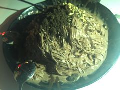 -冰冰酱老味刨冰绵绵冰(中山路总店)
