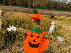 -南京市无想山景区