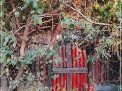 -斯多格书乡(北京大学畅春园店)