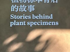 -云溪植物园