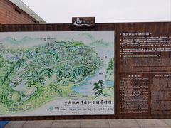 -铁山坪森林公园