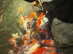-海合安青岛极地海洋公园
