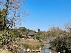 -宁波野生动物园