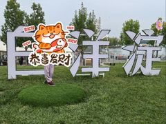 -白洋淀景区