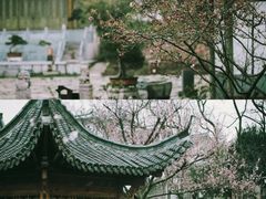 -杏花村文化旅游区