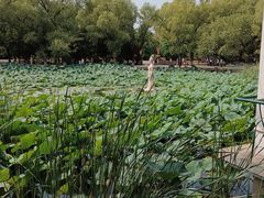 -北陵公园