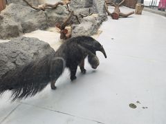 -武汉动物园