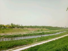 -洨河生态公园