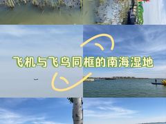-包头南海湿地景区