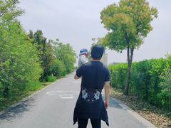 -菊园百果园