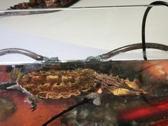 -中国湿地博物馆