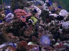 -邯郸海洋世界