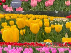-国家植物园