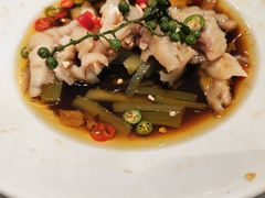 -姚姚酸菜鱼·金戈戈香港豉油鸡(喜荟城联名店)