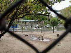 -森林公园(尖草坪区)