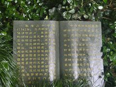 -十八棵（老龙井）御茶园(老龙井店)