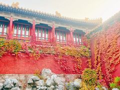 -故宫博物院(故宫)