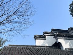 -东山雕花楼