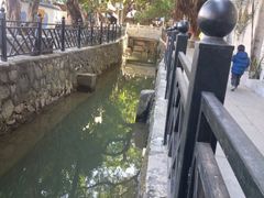 -小洲村