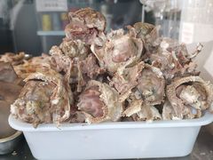 -洪记白水羊头(天坛店)