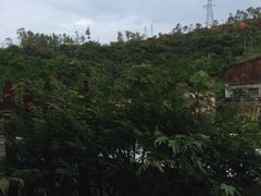 -江门古兜温泉小镇