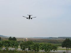 -空港花田景区