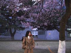 -吉林大学(南岭校区)