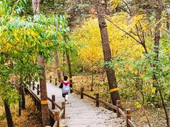 -北京西山国家森林公园