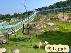 -西霞口神雕山野生动物世界