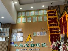 -半岛宠物医院24小时·内窥镜·牙科·碎石中心(府城大道店)